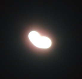 b0108352_20432984.jpg