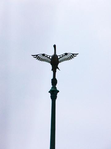大雲院　祇園閣_b0063958_12173710.jpg