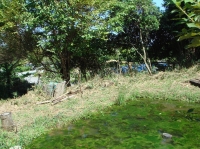 c0108460_14453262.jpg