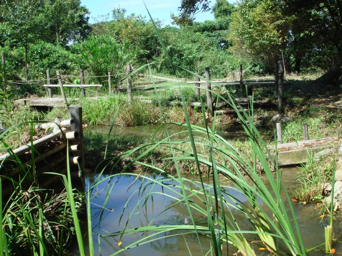 c0108460_1445764.jpg