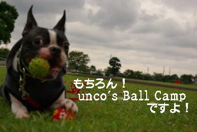 unco\'s Ball Camp!!_f0118262_0551314.jpg