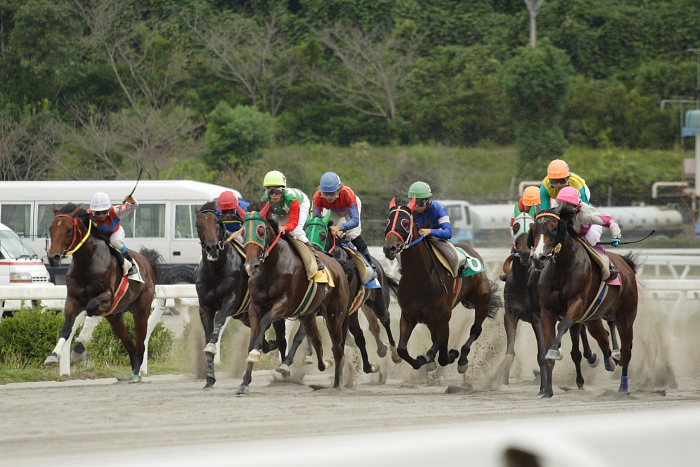 目迫大輔騎手、高知初勝利～_a0077663_18435113.jpg