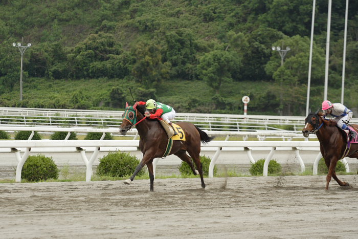 目迫大輔騎手、高知初勝利～_a0077663_18442592.jpg