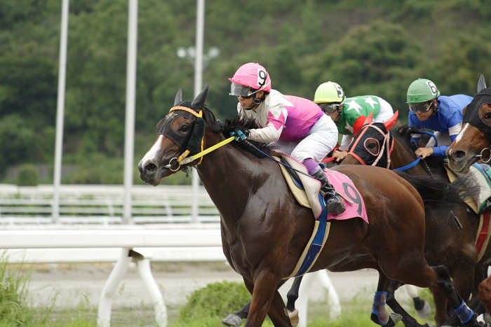 目迫大輔騎手、高知初勝利～_a0077663_1844288.jpg