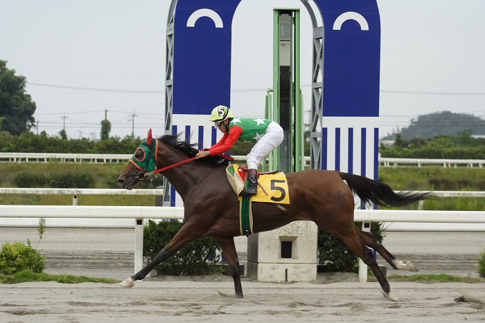 目迫大輔騎手、高知初勝利~_a0077663_18443629.jpg