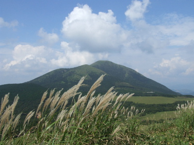 d0105063_2093792.jpg