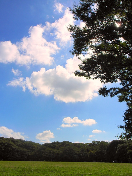 Blue sky_d0128066_23184855.jpg