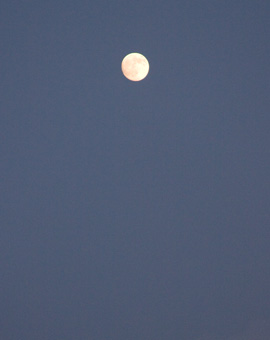 c0010881_2346953.jpg