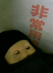 ▼非常なる睡眠_d0017381_4174434.jpg