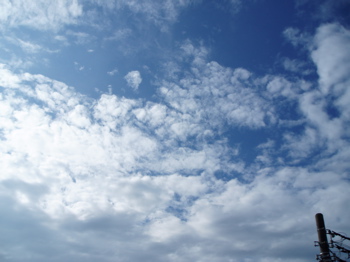 b0097482_2112998.jpg