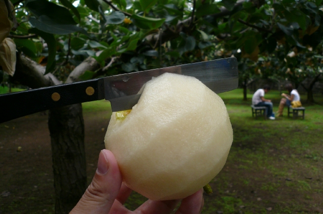 のんびり癒されの旅 in 新温泉 part3_f0097683_8373413.jpg