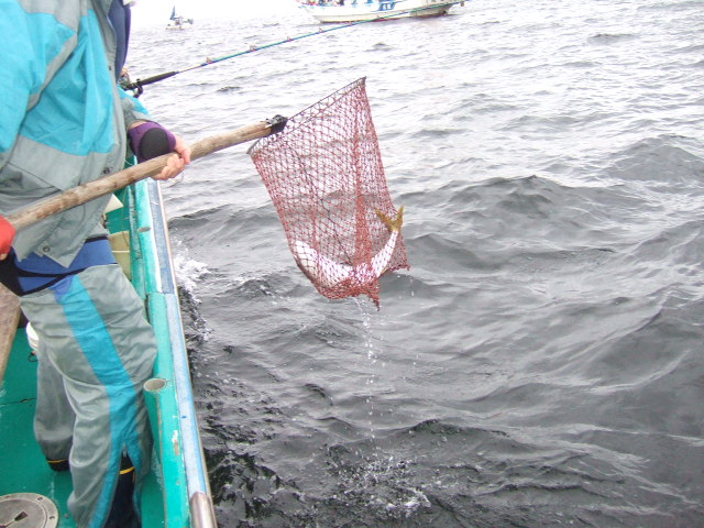釣り大会も無事に終了ぉ～(^^♪_f0033986_17103267.jpg