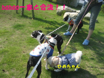 c0092787_12451895.jpg