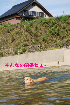 c0092787_12584858.jpg