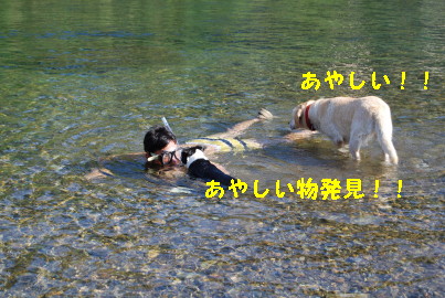 c0092787_1527554.jpg