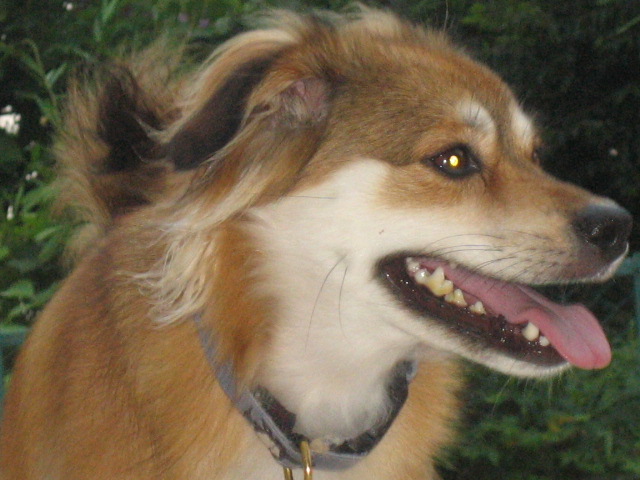 b0054391_65491.jpg