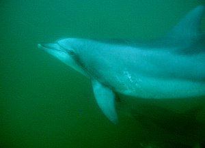 f0079996_11581194.jpg