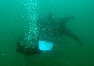 f0079996_12243534.jpg