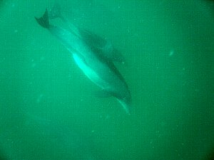 f0079996_1225228.jpg