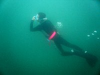 f0079996_124180.jpg