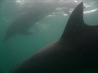 f0079996_1244190.jpg