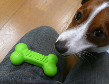 f0146198_0305532.jpg