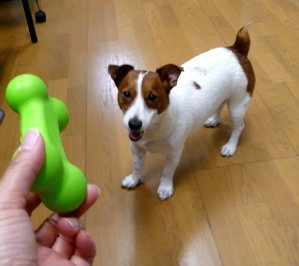 f0146198_0313911.jpg