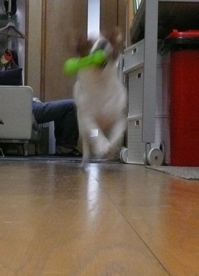 f0146198_032329.jpg