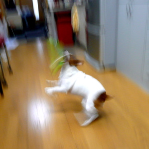 f0146198_032761.jpg