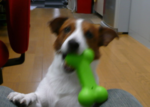 f0146198_0381041.jpg