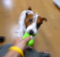 f0146198_0402782.jpg