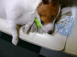 f0146198_0531931.jpg