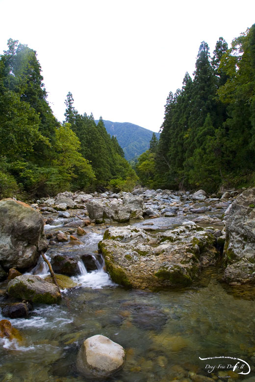 f0085599_18335135.jpg