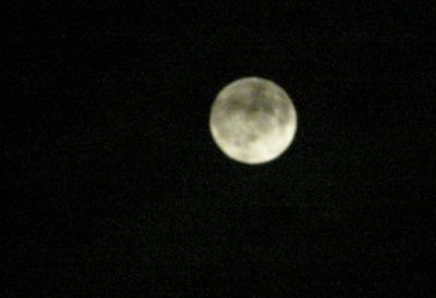 b0057103_23494366.jpg