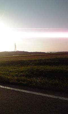d0005807_7494285.jpg