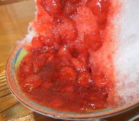 f0040310_17725.jpg