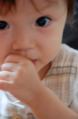 漆器展終了@Style-Hug Gallery_d0023111_051932.gif