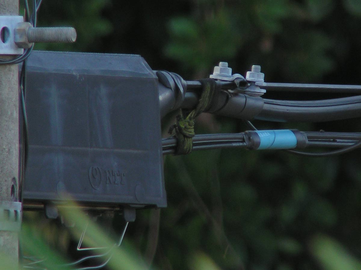 c0001613_74264.jpg