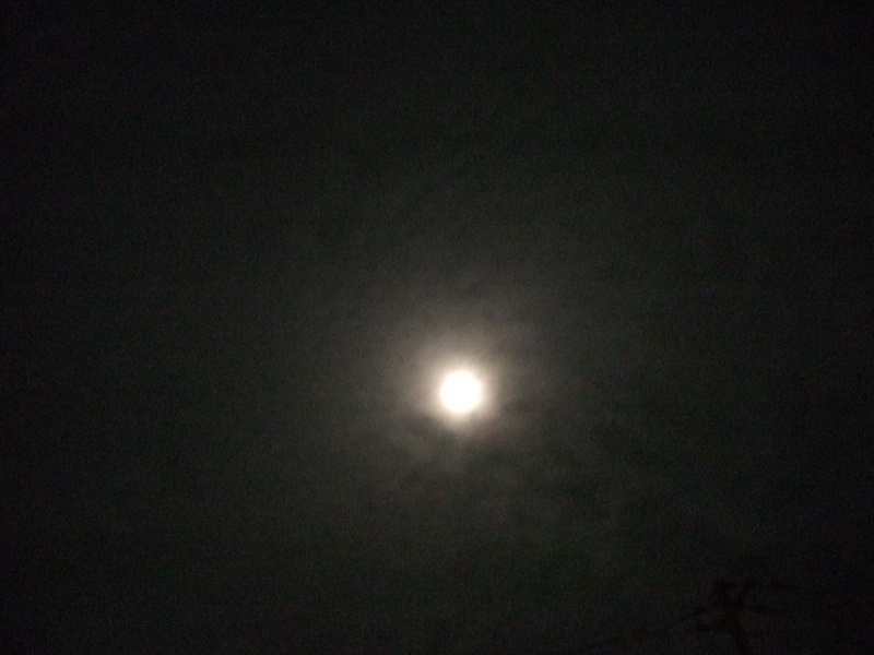 f0143119_9381959.jpg