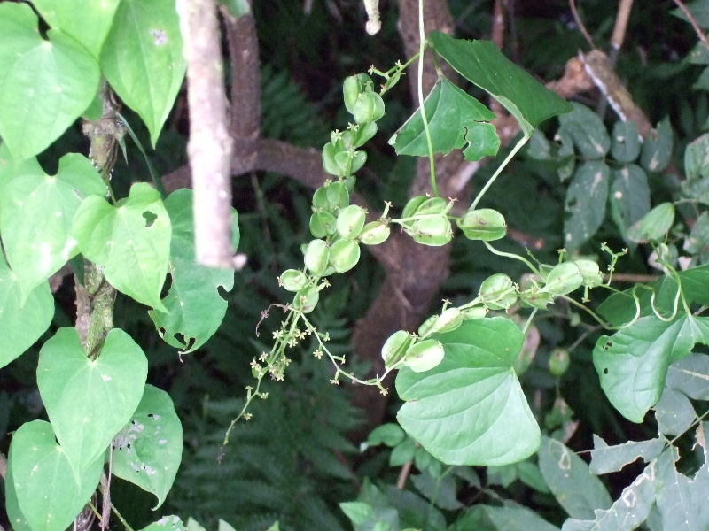 f0143119_9414180.jpg
