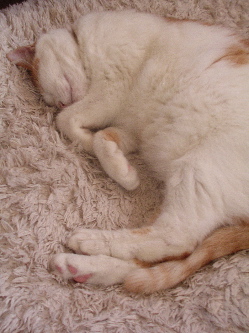 e0119624_13502591.jpg