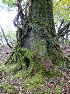 d0023725_5585620.jpg