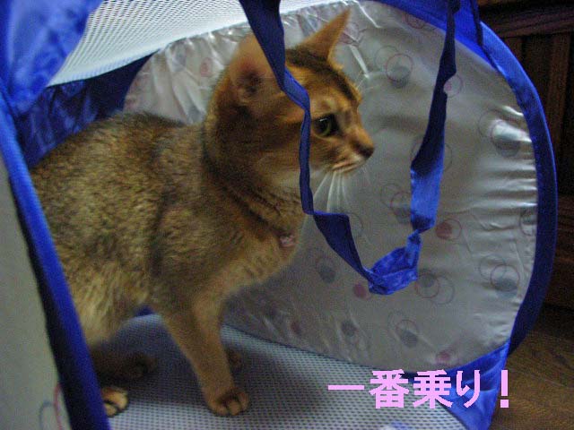 d0081025_1981569.jpg