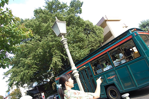 e0108126_9233729.jpg