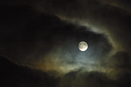 a0097735_18817.jpg