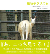「動物チラリズム」で再確認した、<名づけ力>の大切さ。_c0016141_1302021.jpg