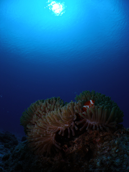 d0065247_21475675.jpg