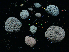 e0005548_2242428.gif