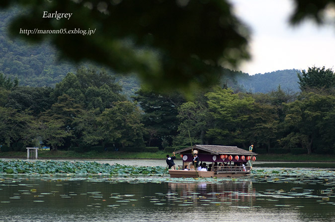 観月の夕べ　大覚寺_f0019849_15585586.jpg