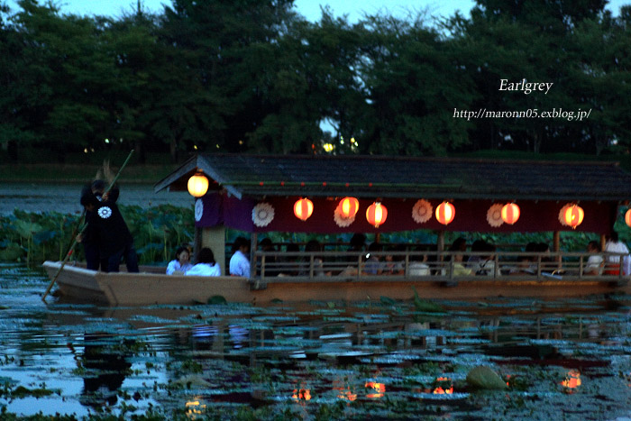 観月の夕べ　大覚寺_f0019849_1631530.jpg